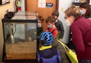 Children looking at fish tank