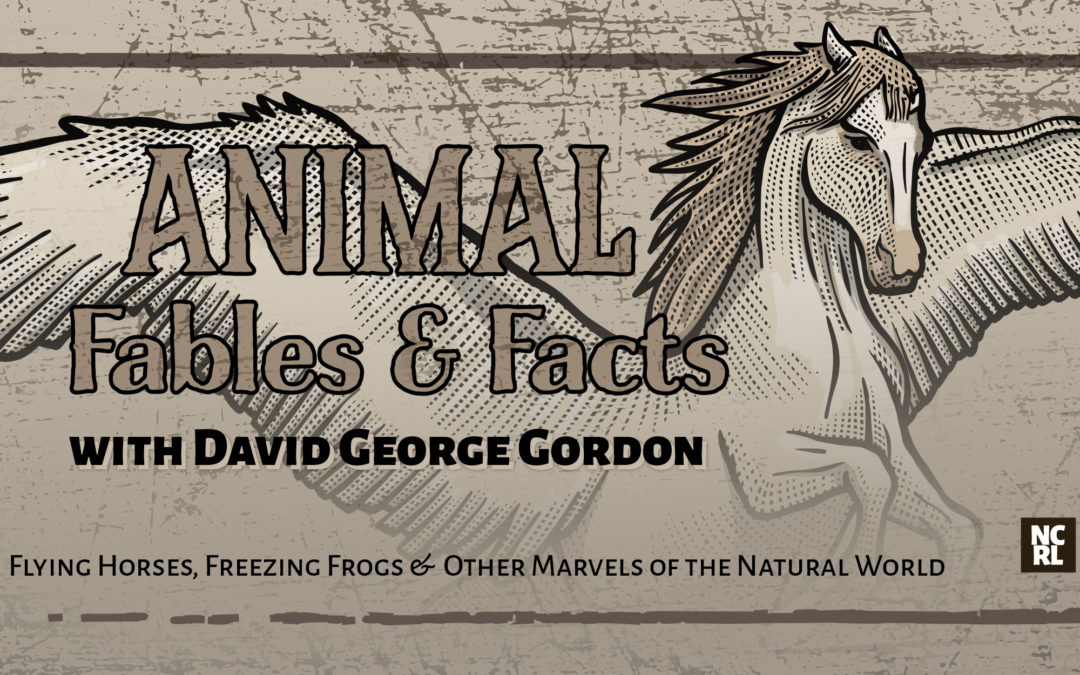 Animals, Fables, & Facts, Oh My!