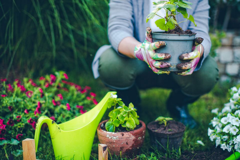Let Us Help You Prepare For Gardening Season