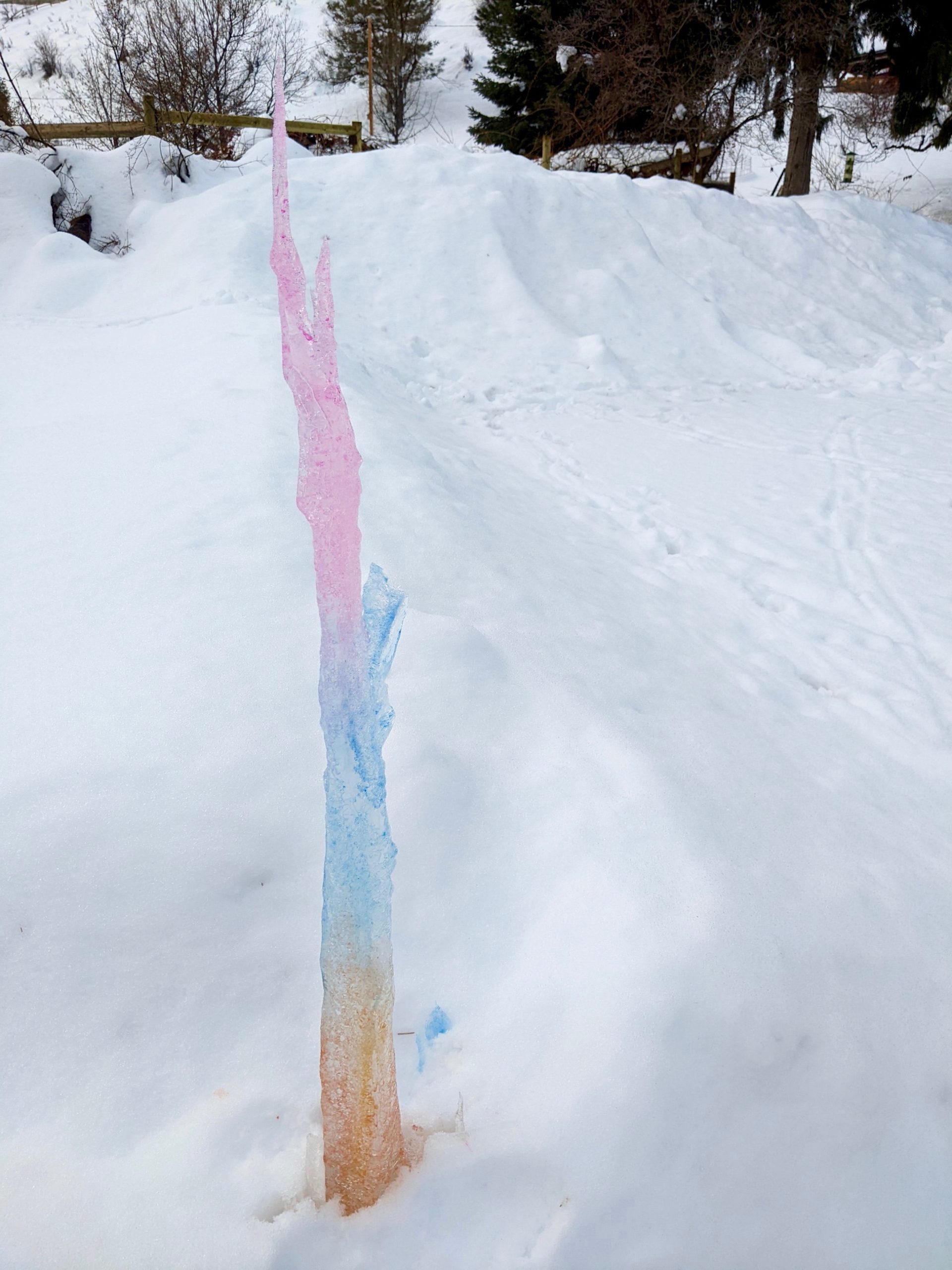 Painted icicle in the snow