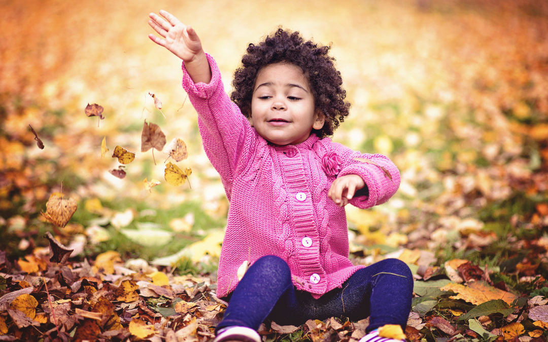 Fall Books For Toddlers